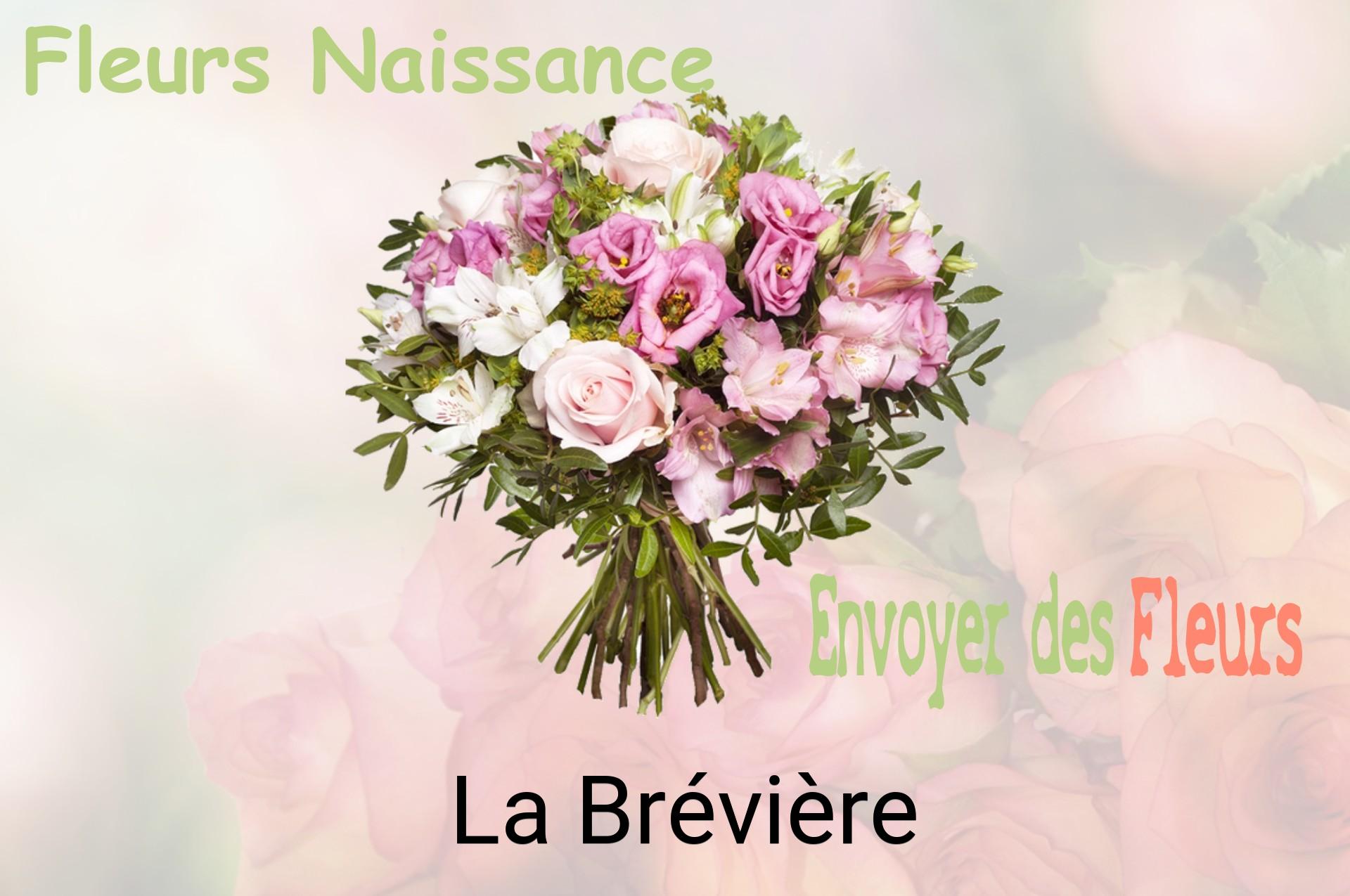 Bouquet de fleurs de naissance livré à La Brévière
